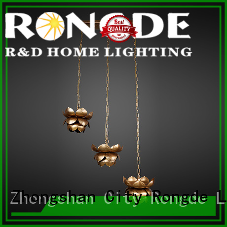 Rongde Best ceiling lamp company