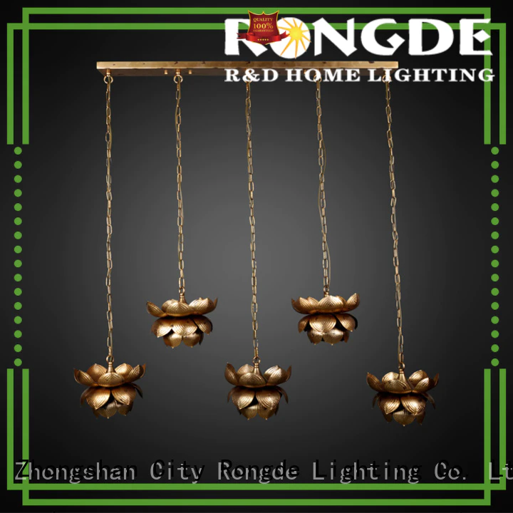 Rongde Latest ceiling lights company