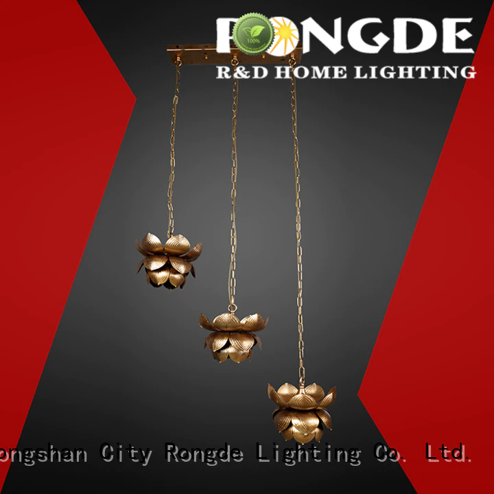 Rongde New pendant lighting Supply